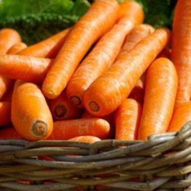 

Wortel Import Murah/kg