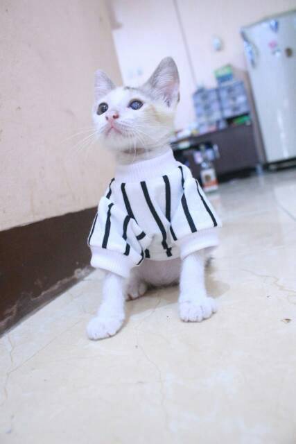 Kaos strip hitam putih lengan panjang / baju kucing murah size S M L XL