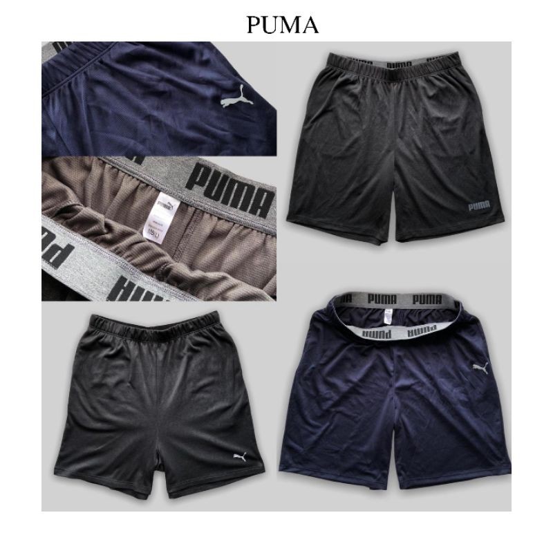 PUMA SHORTPANTS DRY CELL