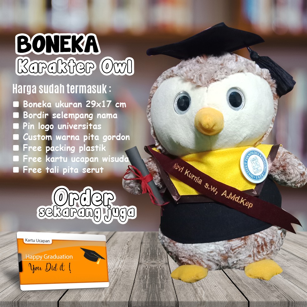 Boneka Wisuda Karakter Owl / Burung Hantu 29 cm