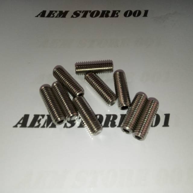 L tanam M8 x 25 (2.5cm) stainless 304