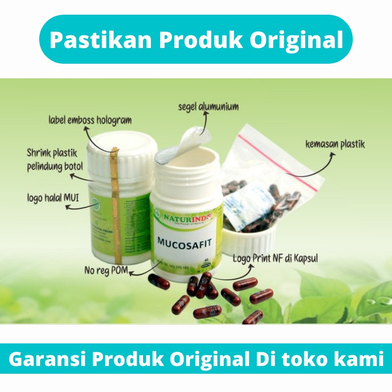 Vermifit Obat Herbal Vertigo Sakit Kepala Migrain Pusing Kapsul Naturindo Bisa Cod-3