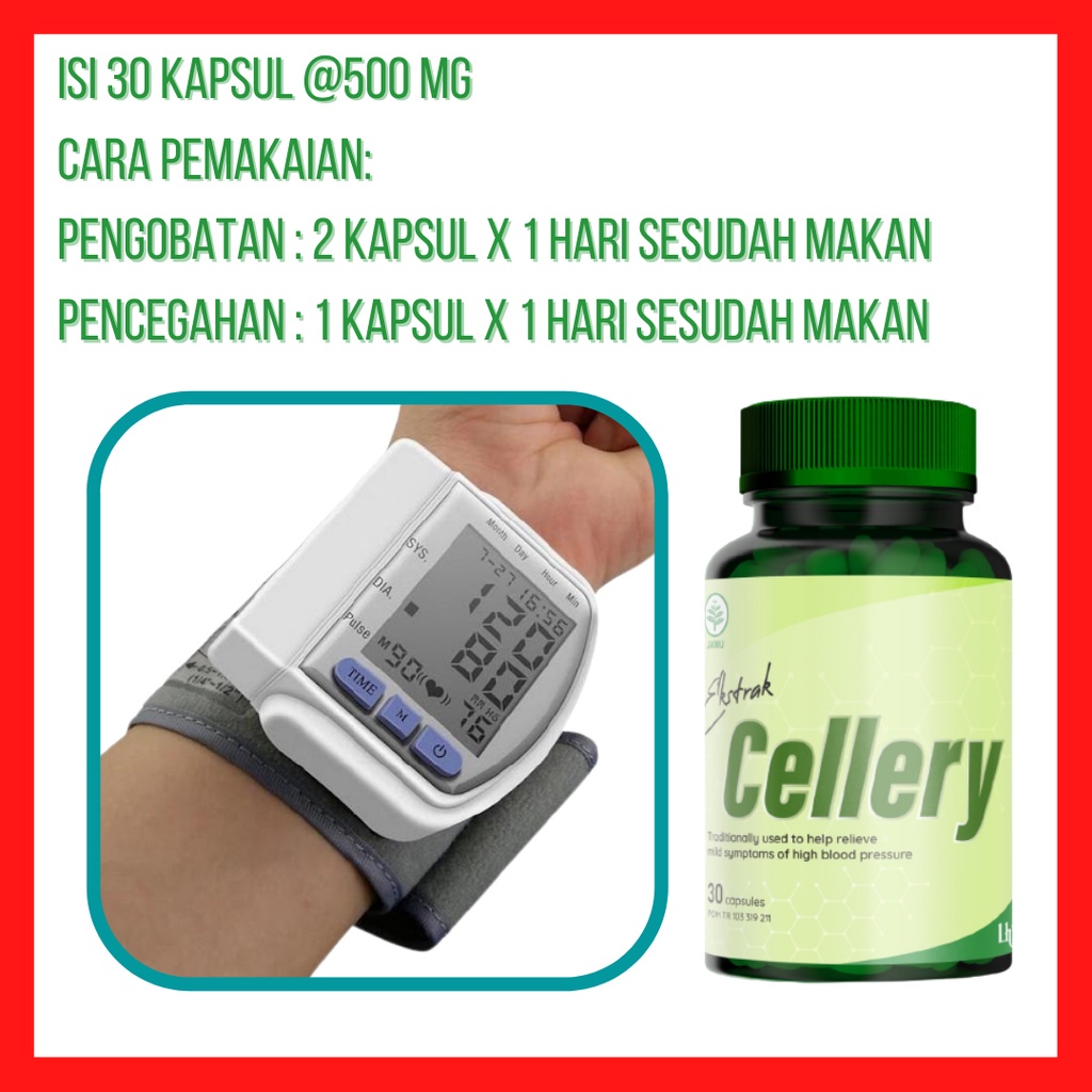 Ecellery Obat Darah Tinggi Hipertensi Ekstrak Cellery Kapsul Herbal Ampuh Terdaftar di BPOM