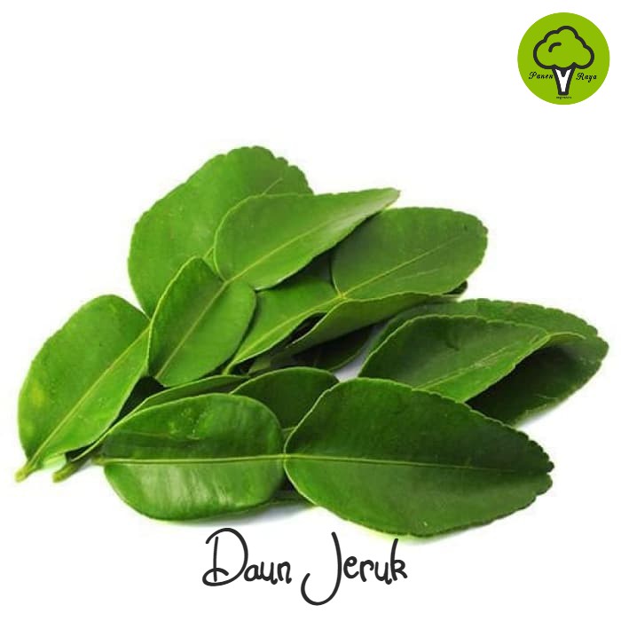 

DAUN JERUK [250GR]