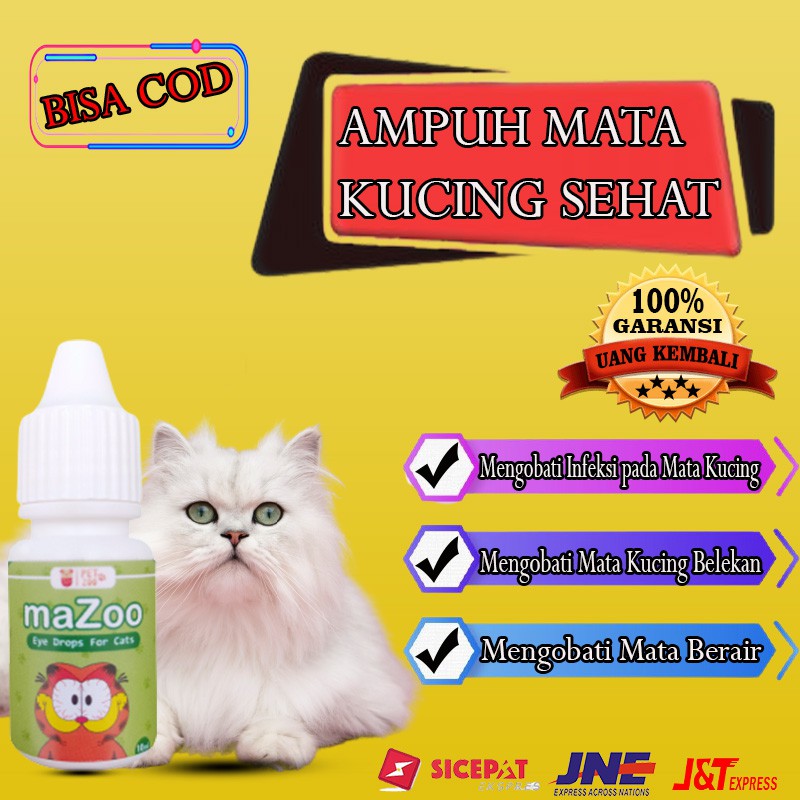 obat tetes mata kucing belekan bengkak ampuh original