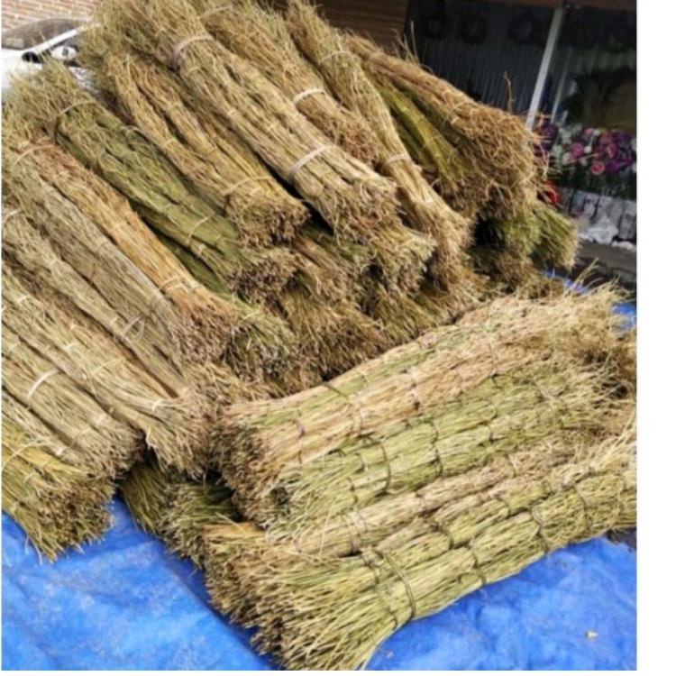 jual-code2i2hw-akar-manon-kering-dekorasi-akar-manon-kerajinan-akar