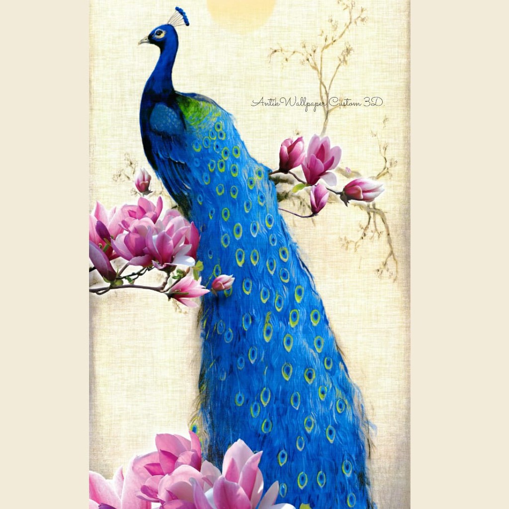 73 Koleksi Gambar Burung Merak Keren Gratis