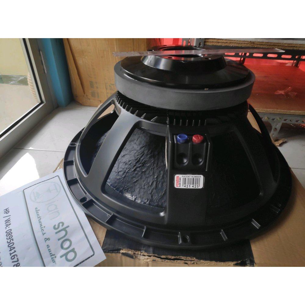 speaker fostex 10 inch