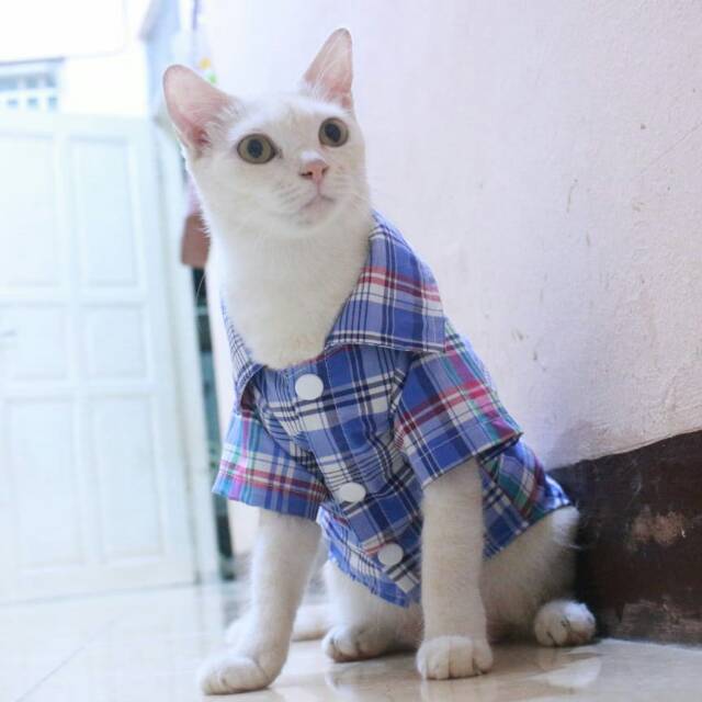 Kemeja kotak-kotak biru besar lucu untuk kucing dan anjing size S M L XL