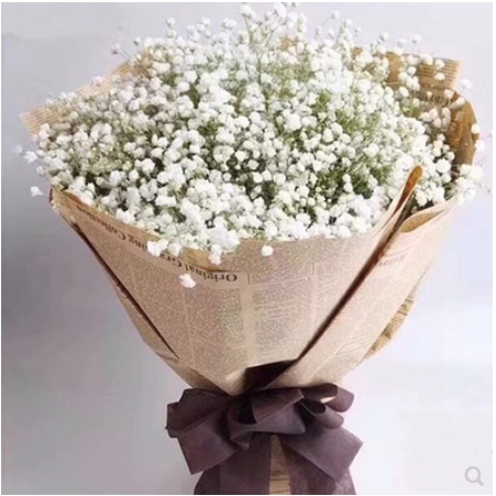 

5 lembar English news paper wrapping /kertas bunga / Koran dan Polos