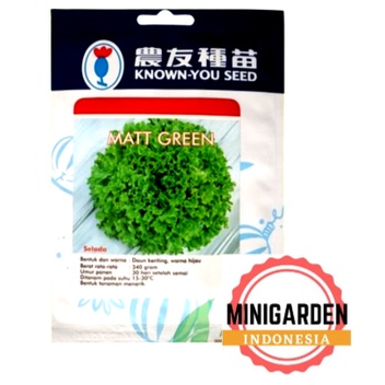 SELADA MATT GREEN 20 GRAM PACK BESAR benih biji bibit selada keriting hijau f1 hibrida known you seed