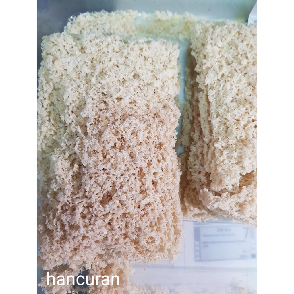 

Sarang Burung Walet / Yenwo / Yen Wo Premium Hancuran 100 gram