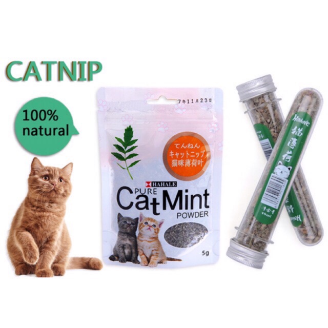 CATNIP POWDER BIKIN KUCING FLY CAT MINT SERBUK CATNIP DAUN CATNIP BUBUK  CATNIP KUCING MAKANAN KUCING