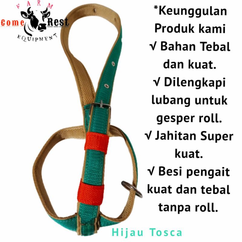 Head Halter Sapi Warna