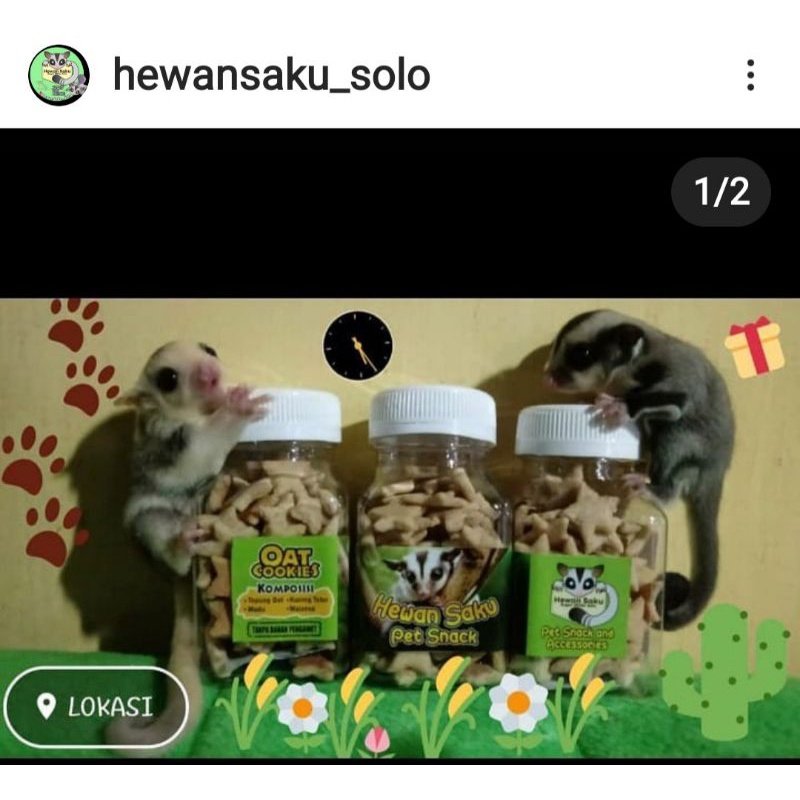 

Oat Cookies Sugarglider