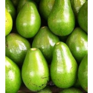 

BUAH ALPUKAT SUPER (0,9-1 KG)