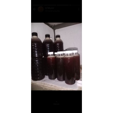 

Madu Tawon Liar Dan madu Tawon Hitam liar