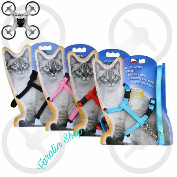 Harness Kucing Tali Tuntun H Polos Anjing Cat Dog Musang Harnes Pet High Quality