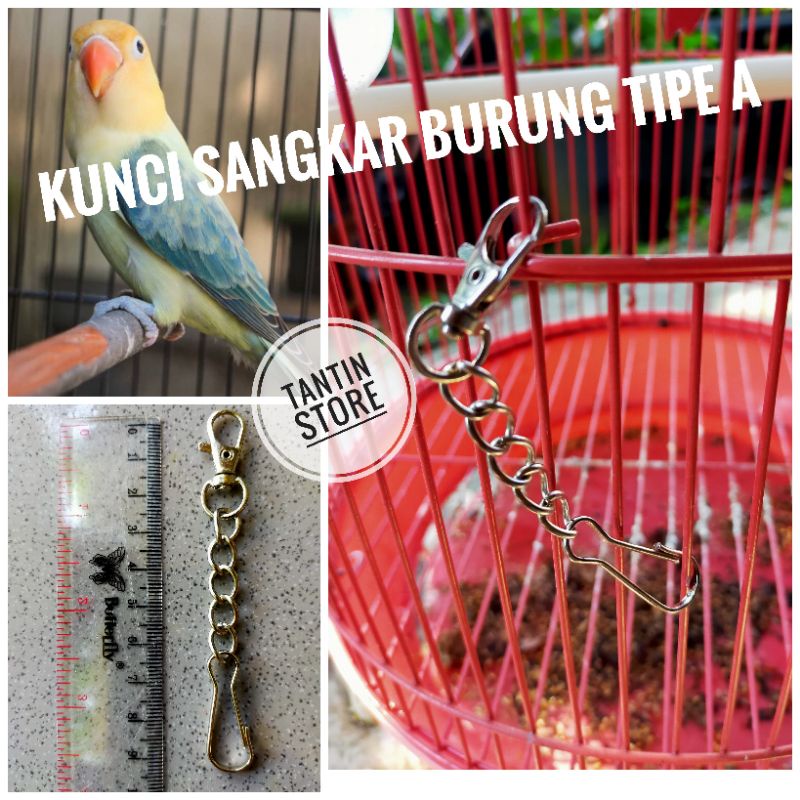 Rantai Kunci Sangkar Kurungan Burung Sugar Glider Hamster Kucing Pengaman