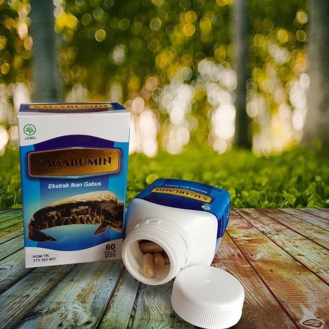 Kapsul Albumin Ekstrak ikan Gabus / Kutuk ( Protein ) Original