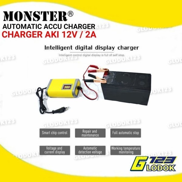 Alat Cas Charger Aki Accu Kering Basah 6V 12V 24V 2A 6A Motor Mobil