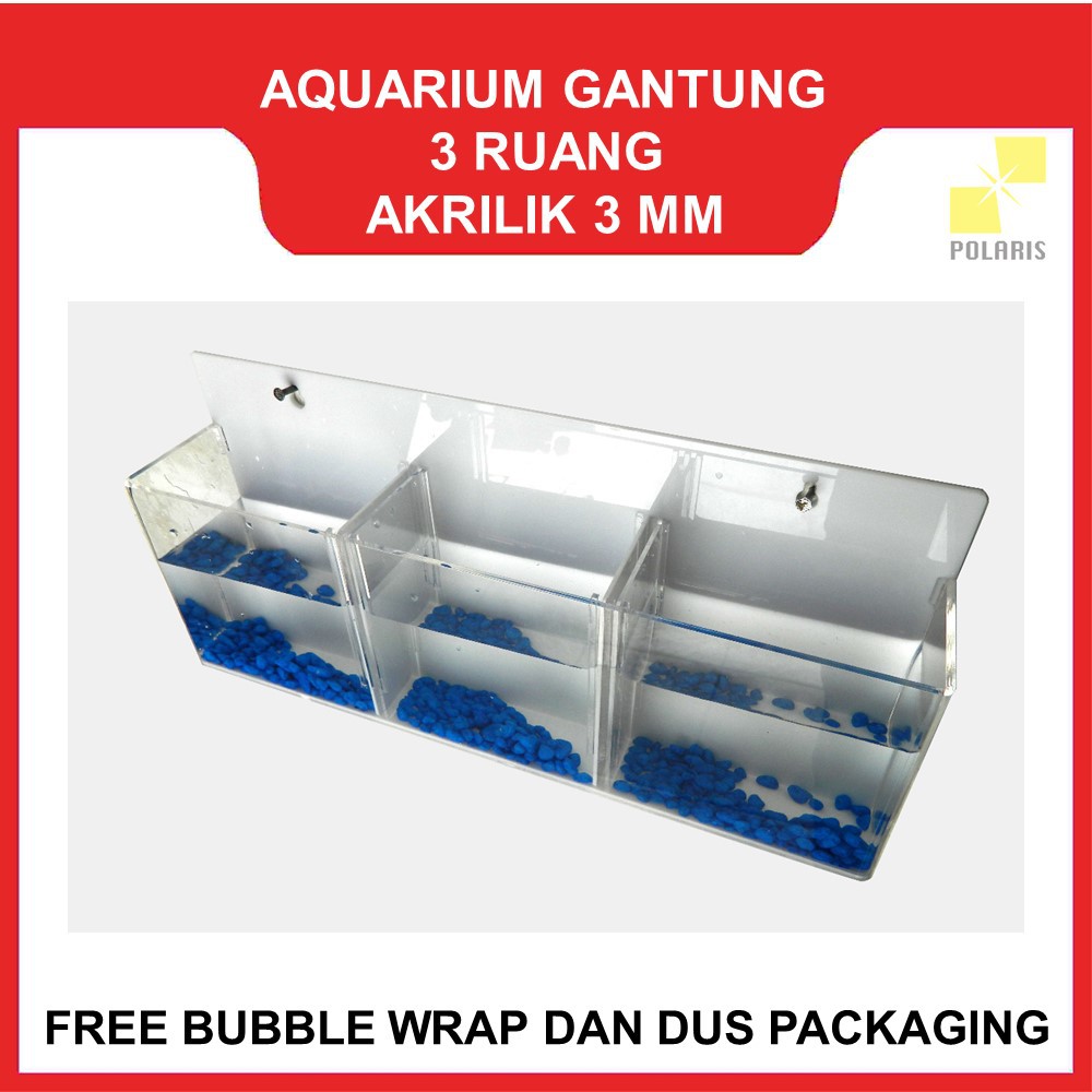 AKUARIUM CUPANG GANTUNG / SOLITER CUPANG GANTUNG / AQUARIUM AKRILIK DINDING 3 RUANG