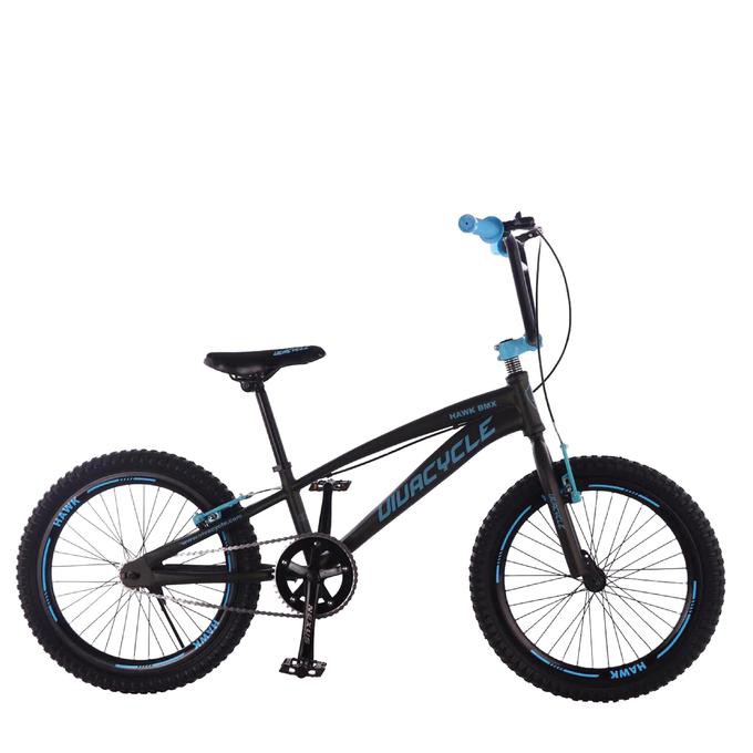 Sepeda Bmx 20" Viva Cycle Go Bmx. - Biru