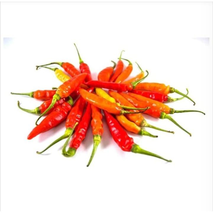 

PROMO Cabe Rawit Merah/ 100gr