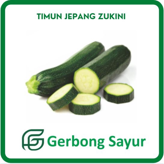 

TImun Jepang Zuchini / Sukini / Zucchini / Zukini Segar - 500g