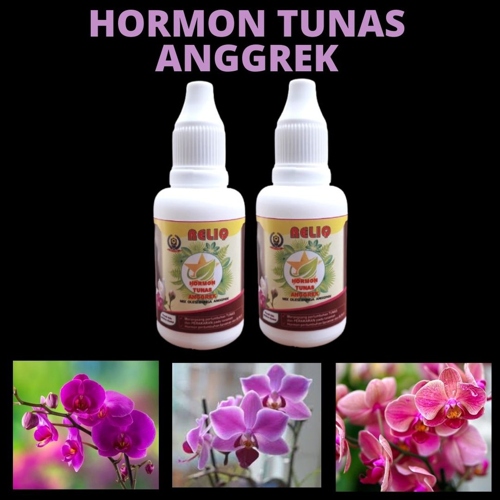 Hormon Tunas Anggrek, BISA COD Hormon Perangsang Pertumbuhan Tunas dan Perakaran Tanaman dan Bunga