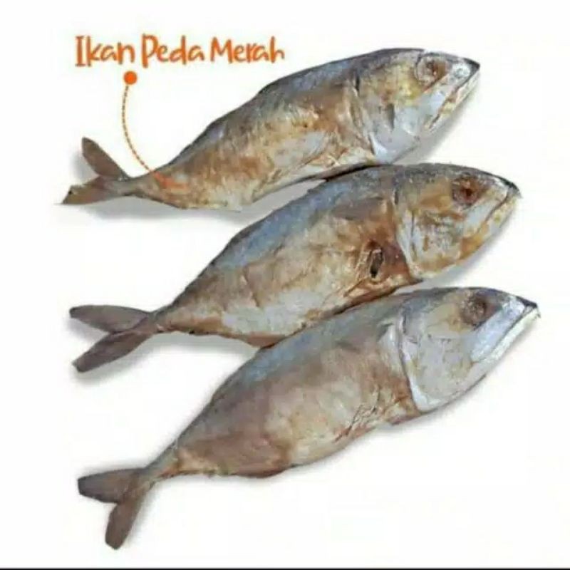 Ikan Asin Peda Merah / Berat 500 Gram