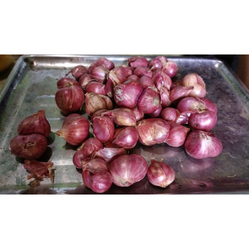 

Bawang merah Probolinggo