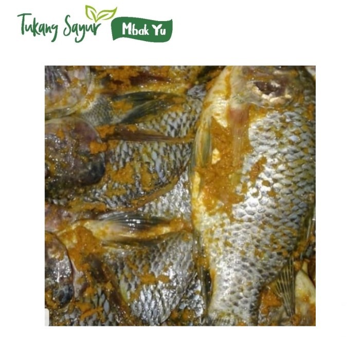 

mujair bumbu kuning siap goreng per ekor ( ready kecuali hari minggu)