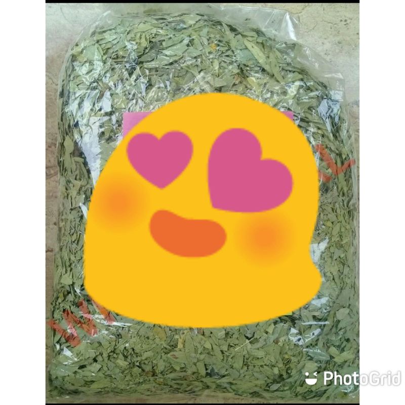 Daun jati Cina /teh daun jati