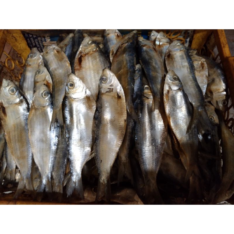 

ikan asin tembang 250 gram