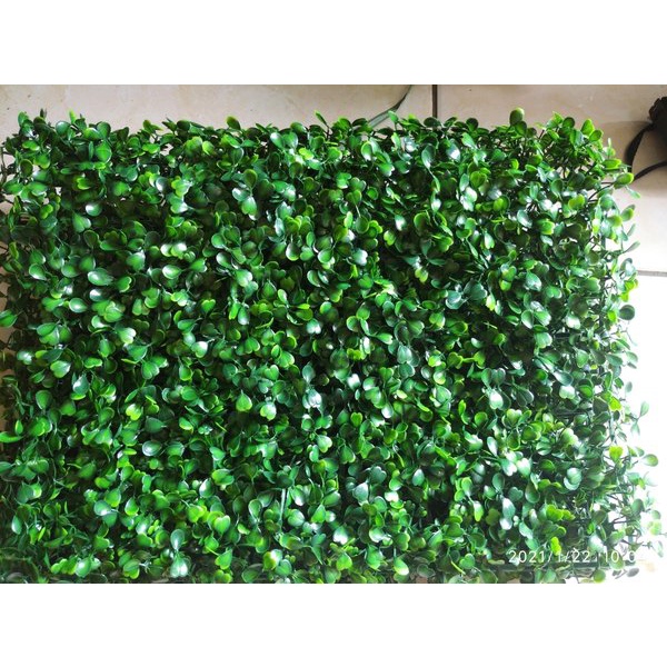 Tanaman Daun Sintetis Untuk Dekorasi Dinding Daun Dolar Sintetis