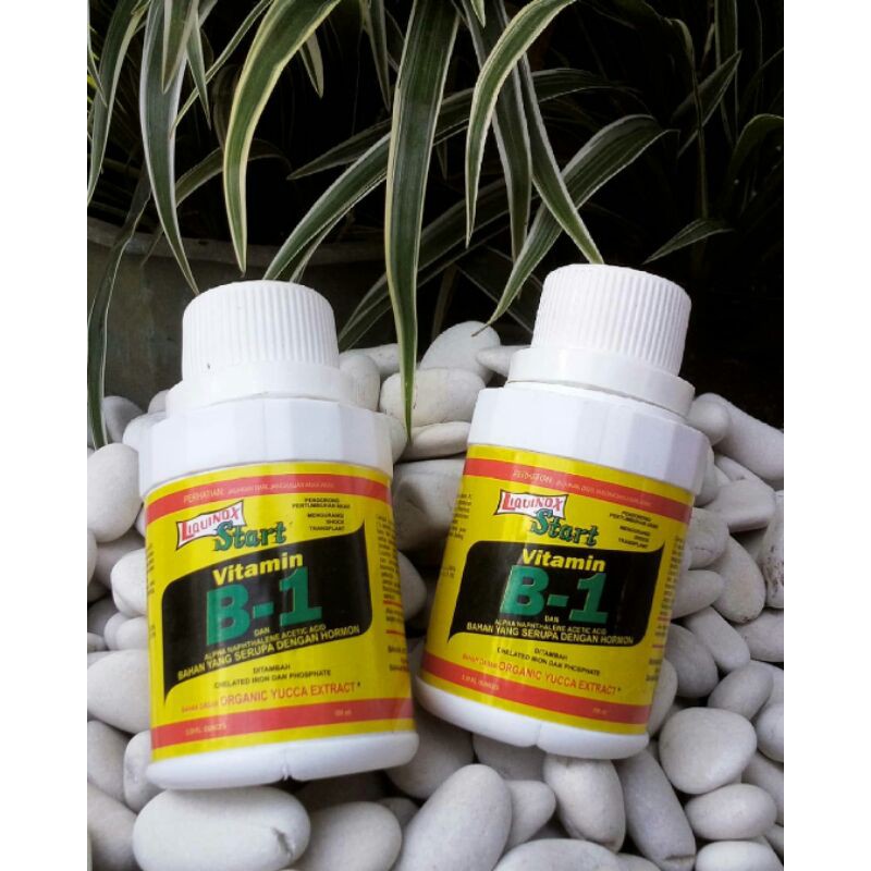 liquinox vitamin B1