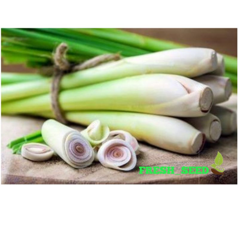 

serai bumbu 100gr fresh