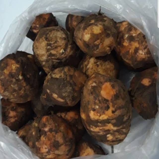 

Temulawak 1 kg