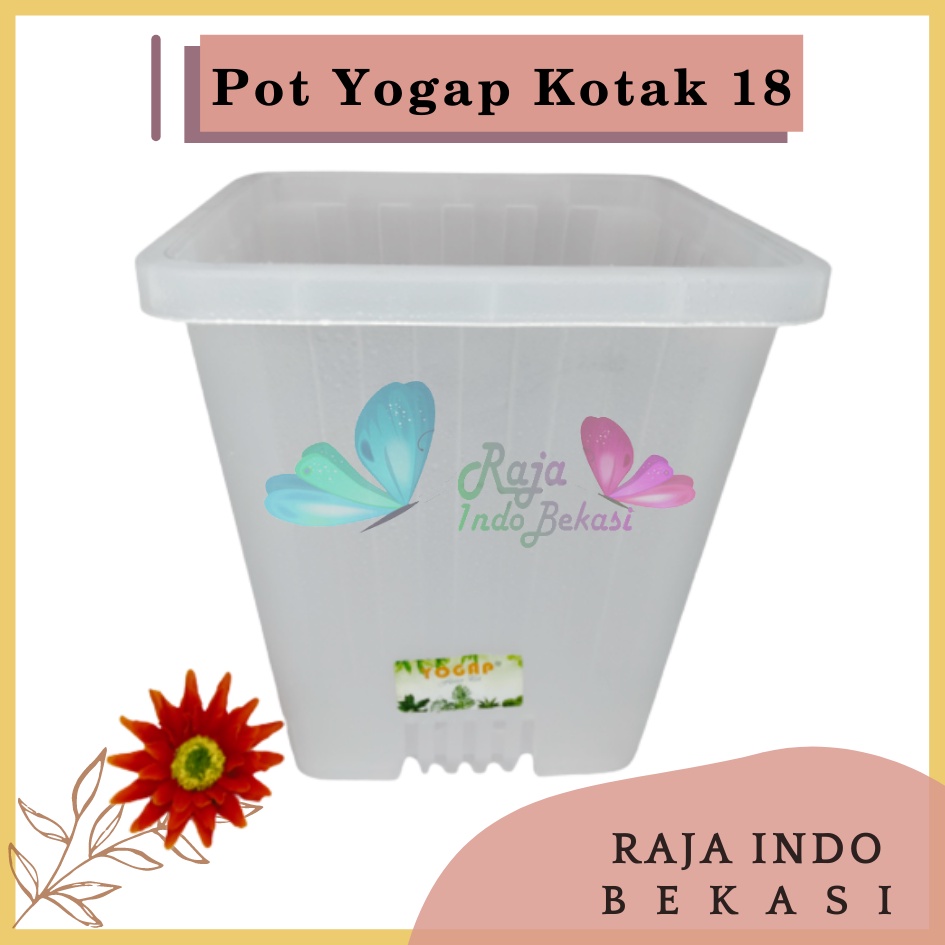 Rajaindobekasi Pot Yogap Kotak 18 Transparan Bening Clear Pot Yogap 10 13 15 17 18 19 25 30 Pot Yogap Lusinan Pot Kotak Panjang Tinggi Pot Segi Empat Hias Panjang Plastik