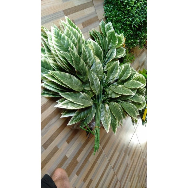 

daun anggur Sintetiz_
