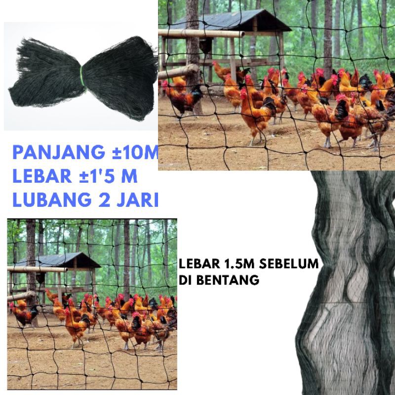 JARING AYAM JARING PAGAR AYAM JARING PAGAR KEBUN PAGAR KOLAM JARING TANAMAN