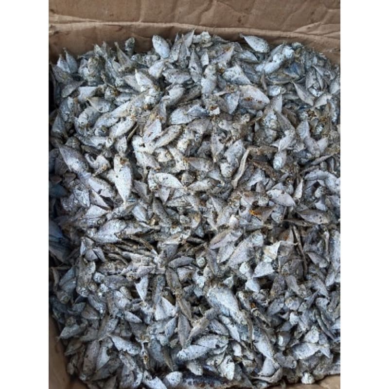 

ikan asin bondolan rebus