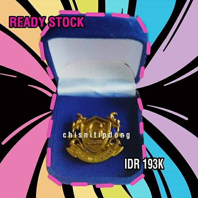 Merchandise ORI Pin the gifted