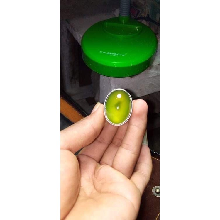 idocrase Bio solar Lumut