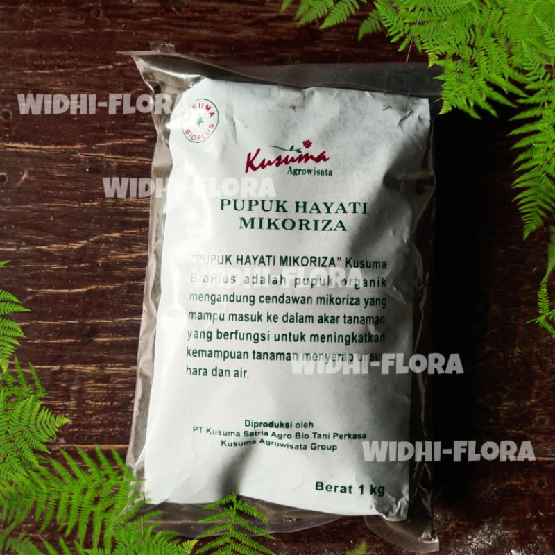 pupuk hayati mikoriza