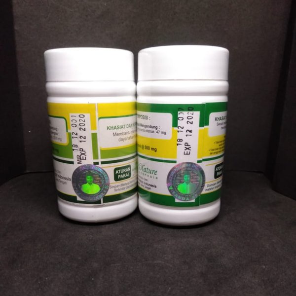 

Herbal Pilihan Obat Stroke Mati Separo Saraf Kejepit Lumpuh Centiloss Morici Herbal De Nature