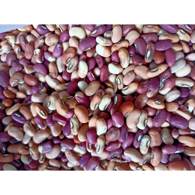 

TERBAIK BIJI KACANG MERAH/KACANG TOLO 100 GRAM