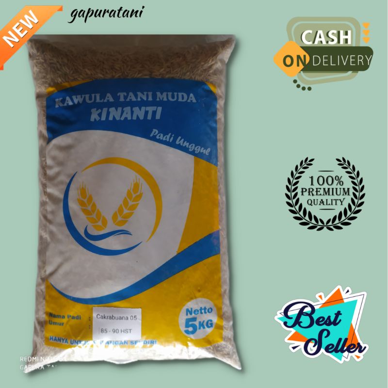 benih padi unggul terbaru CAKRABUANA 05 kemasan 5 kg
