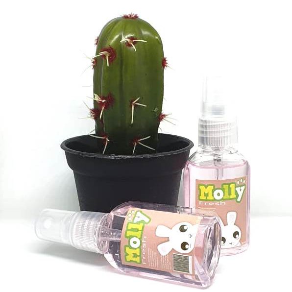 Parfum Molly 30ml Anti Bakteri untuk Kucing Kelinci Hamster Anjing Aroma Soft lembut